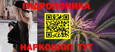 стафф Обь