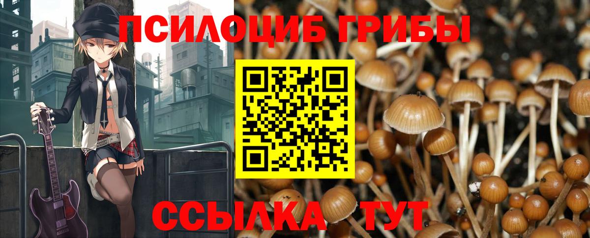 Чехов  Галлюциногенные грибы Psilocybe  Вход с VPN  Галлюциногенные грибы прущие грибы 