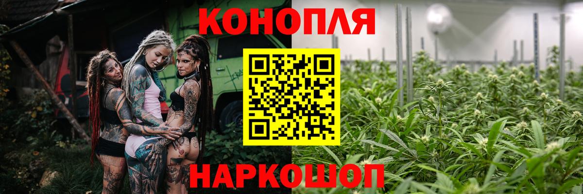 Бошки марихуана планчик  Канабис THC 21%  Бошки Шишки ГИДРОПОН  Вход с VPN  Чехов 